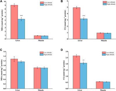 Physiological and Biochemical Adaptations to High Altitude in Tibetan Frogs, Nanorana parkeri